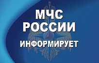 Управление по Фрунзенскому району ГУ МЧС России по г. Санкт- Петербургу информиркует