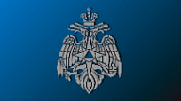Внимание, тополиный пух!